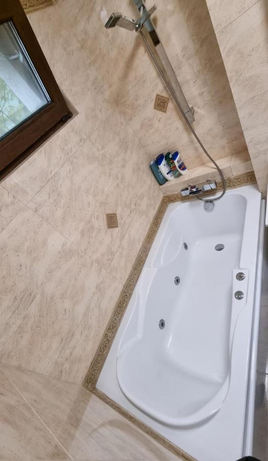 Stone Bridge Apartment Iasi Luaran gambar