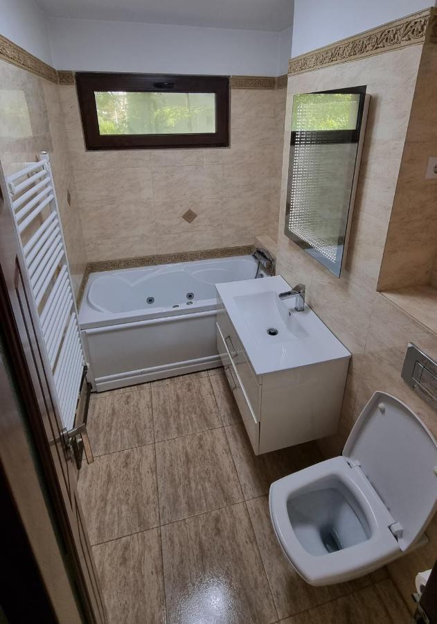 Stone Bridge Apartment Iasi Luaran gambar